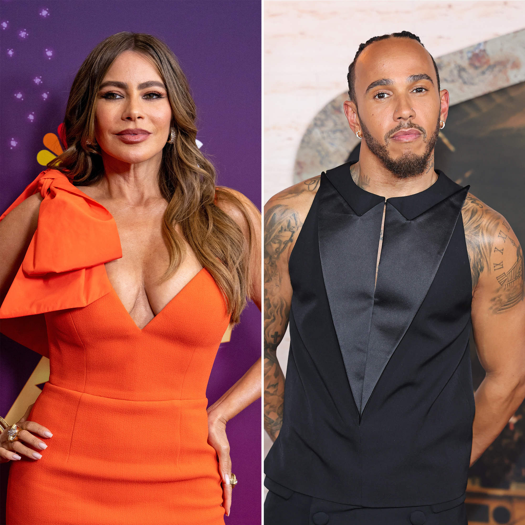 Sofia Vergara Spotted With F1 Driver Lewis Hamilton