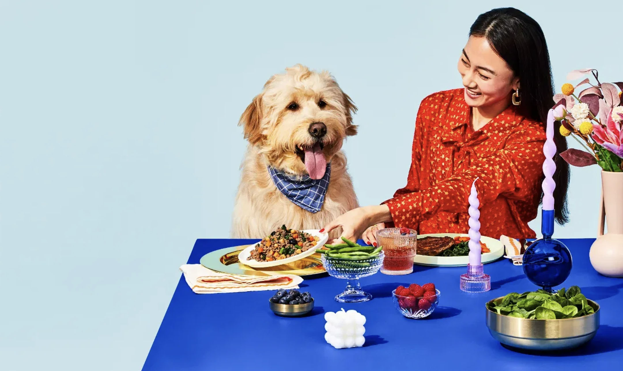 pet food