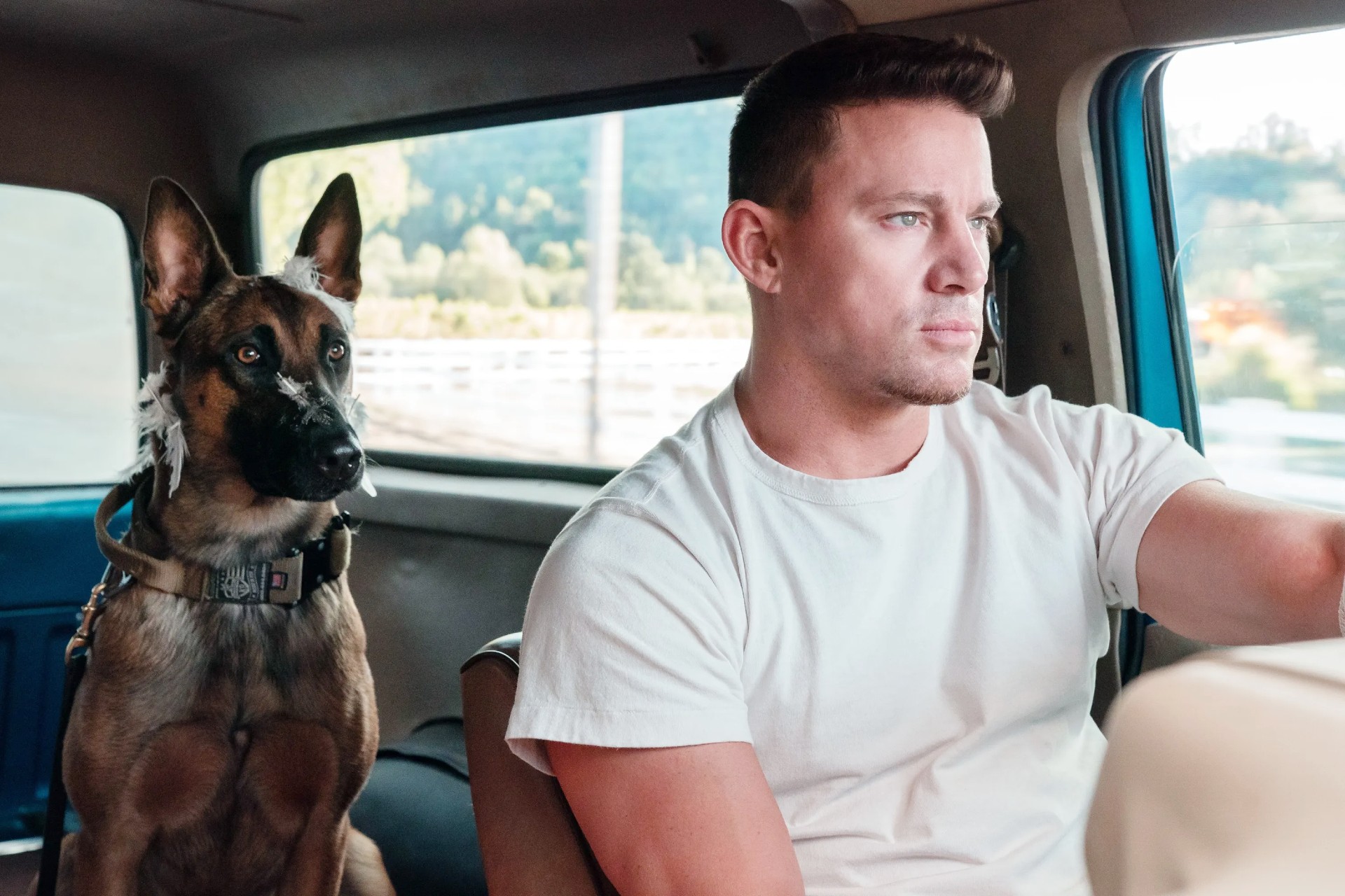 A man and his dog sit in a truck in Dog.