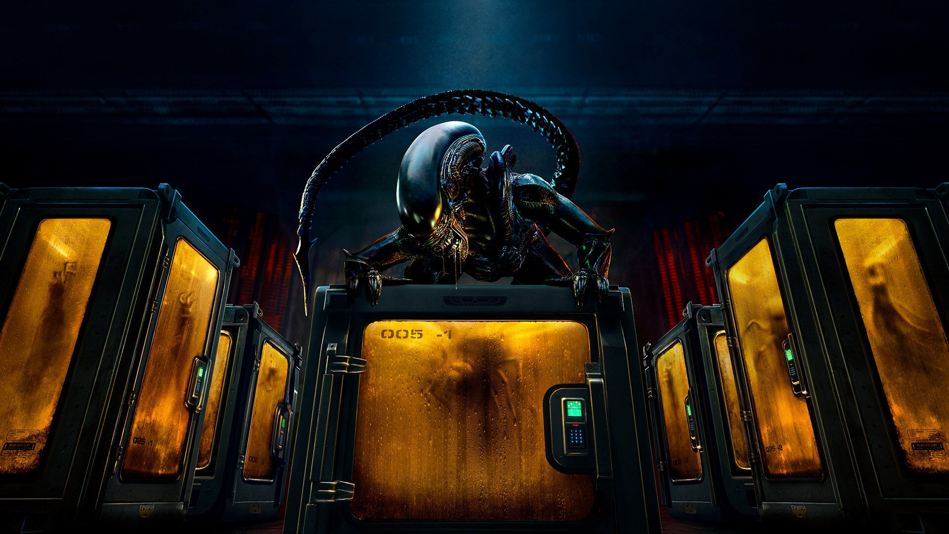 A xenomorph in Alien: Earth