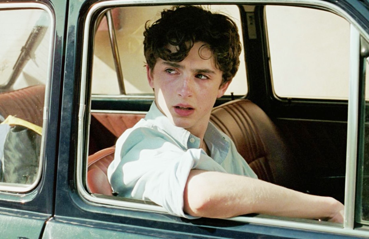 Timothee Chalamet in Call Me by Your Name