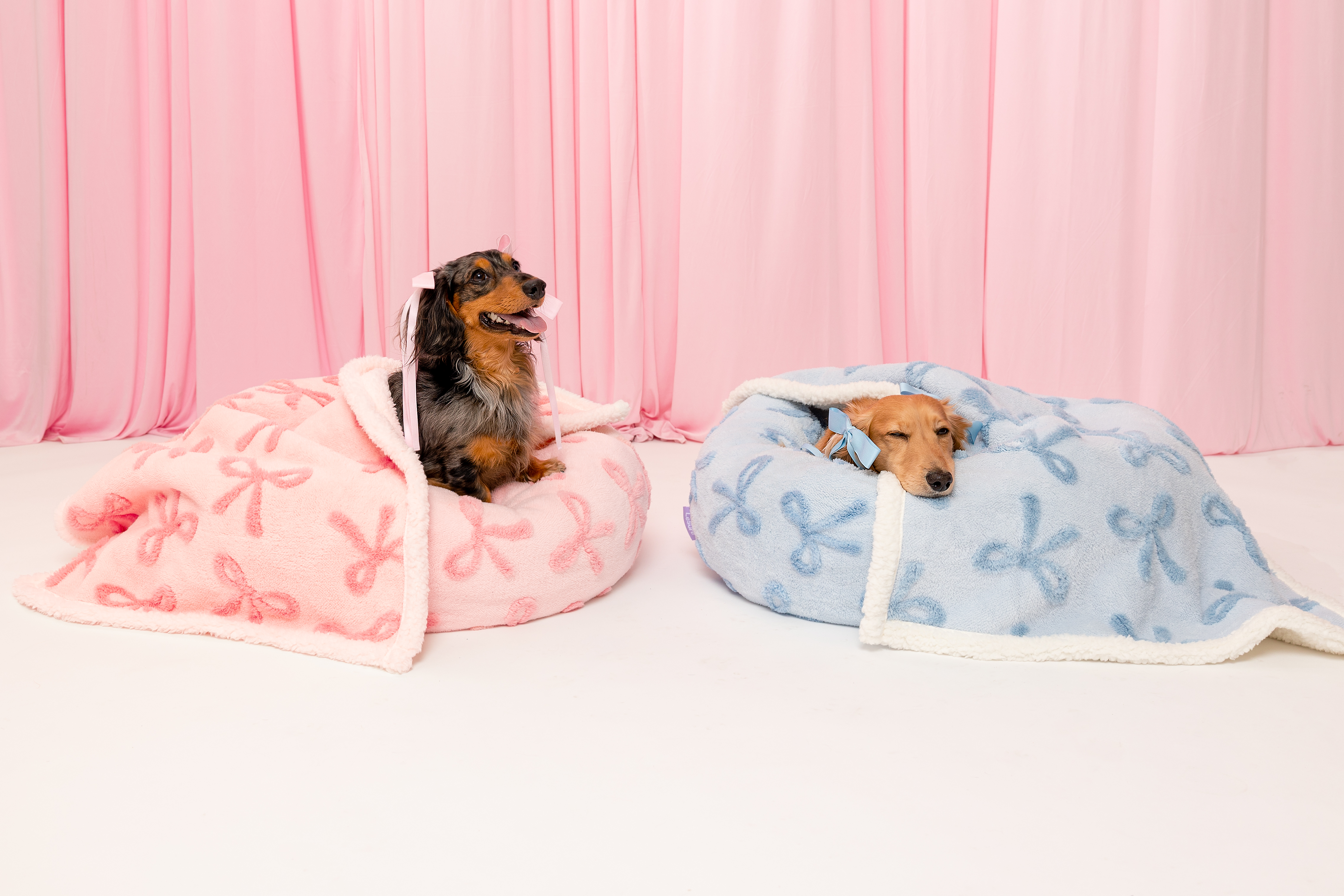 The Lesure Donut Dog Bed