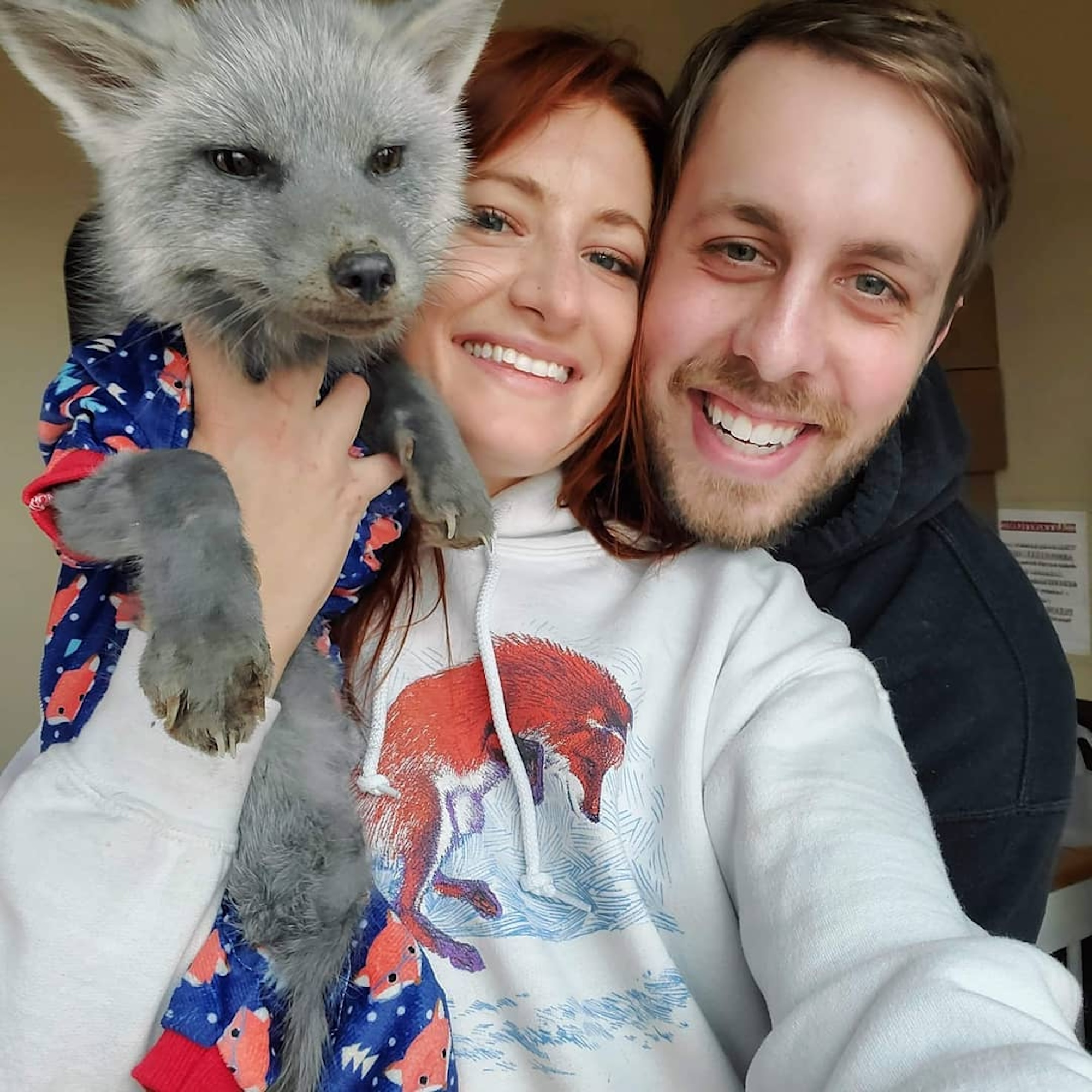 Who Is SaveAFox YouTuber Mikayla Raines' Husband? Meet Ethan Frankamp