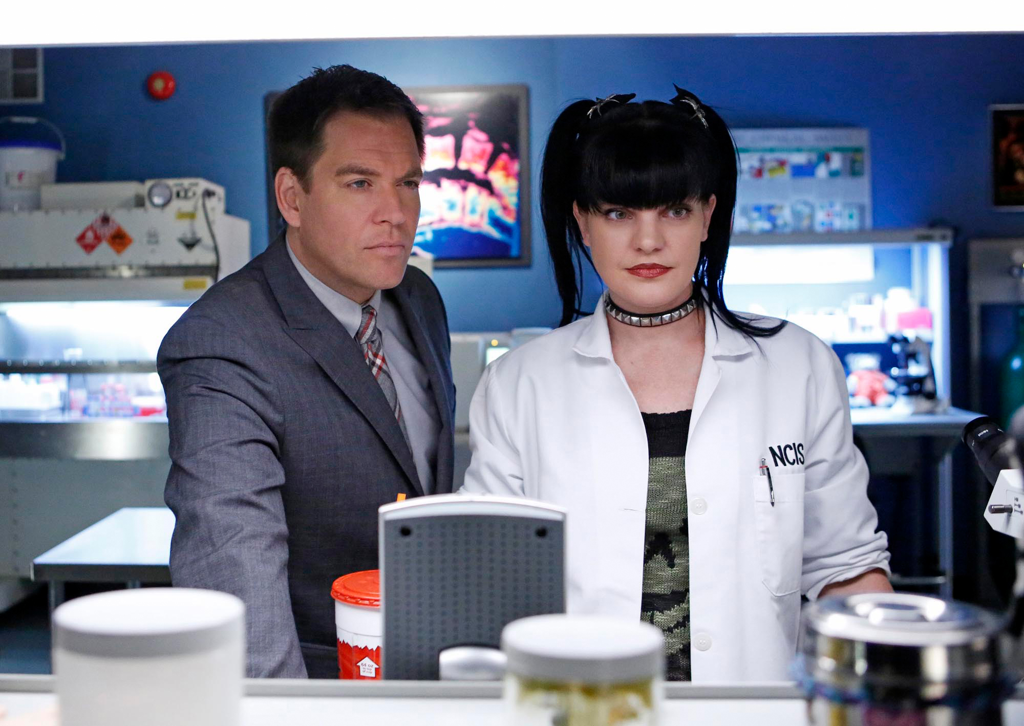 Pauley Perrette's Life Outside of Hollywood