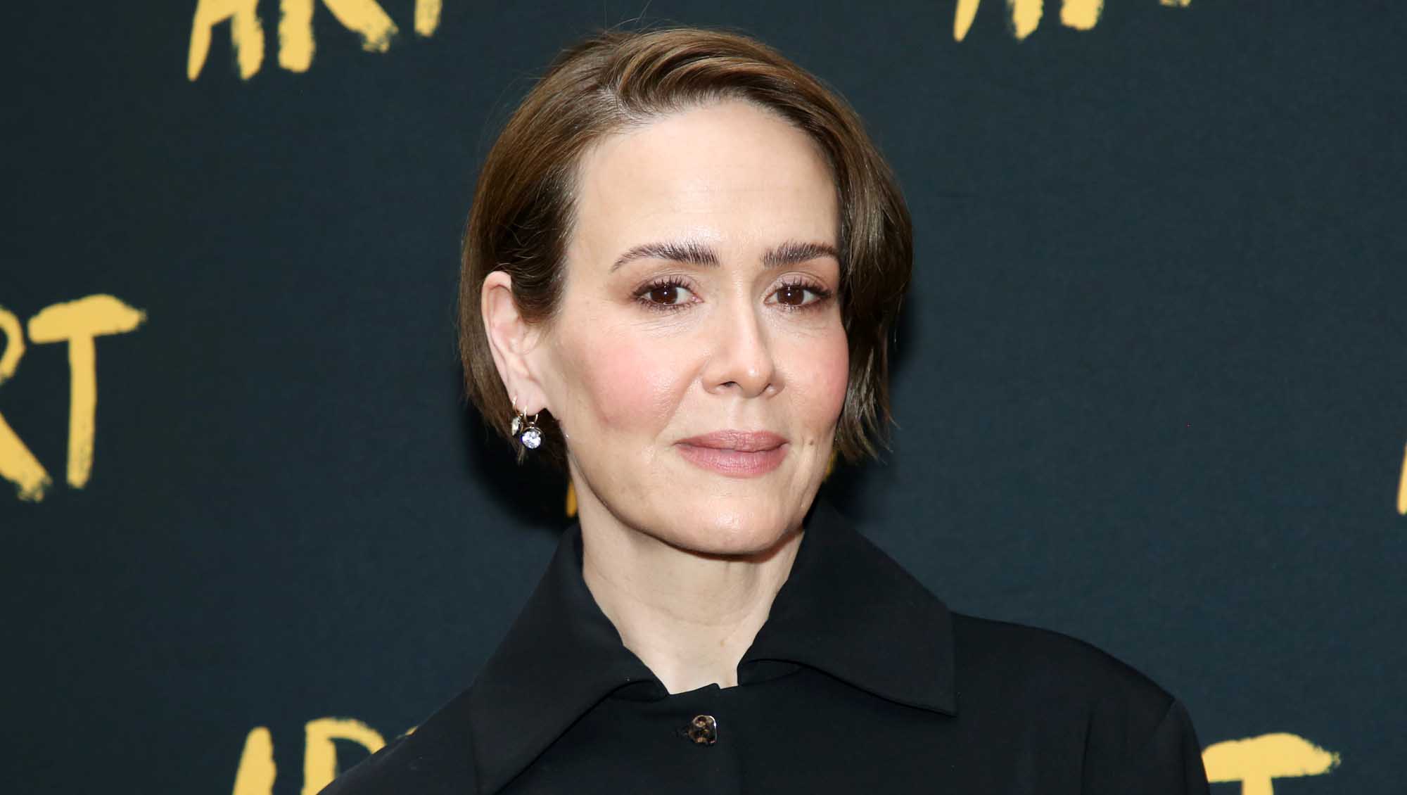 Sarah Paulson Jeans Lookalike