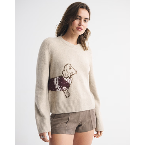 The A&F Madeline Crew Sweater