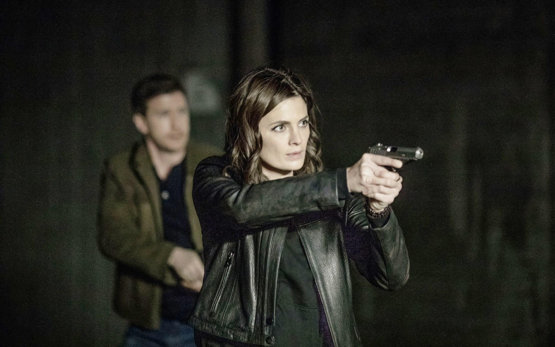 Stana Katic in Absentia
