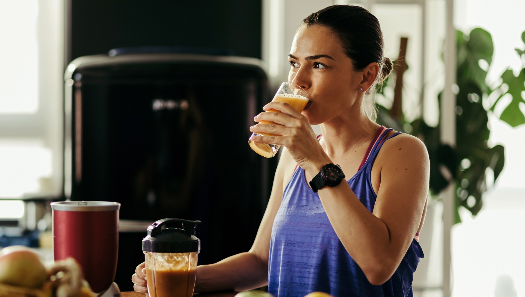 Garden of Life Meal Replacement Shake