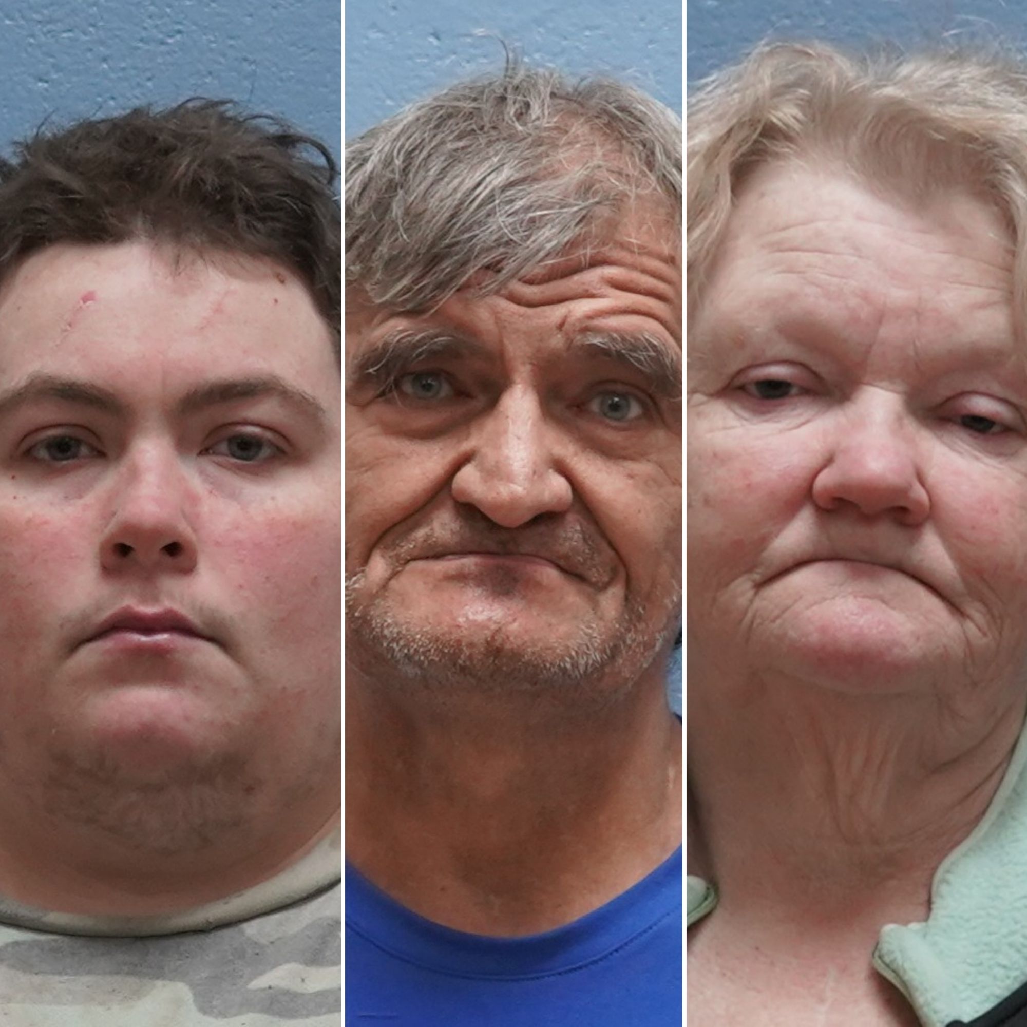 Over-2-Dozen-Dogs-Found-Dead-in-Backyard-Pile-at-Alabama-Home-Sheriff