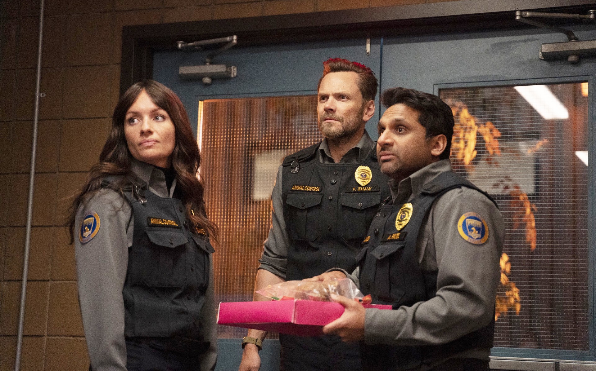 Grace Palmer, Joel McHale and Ravi Patel in Animal Control
