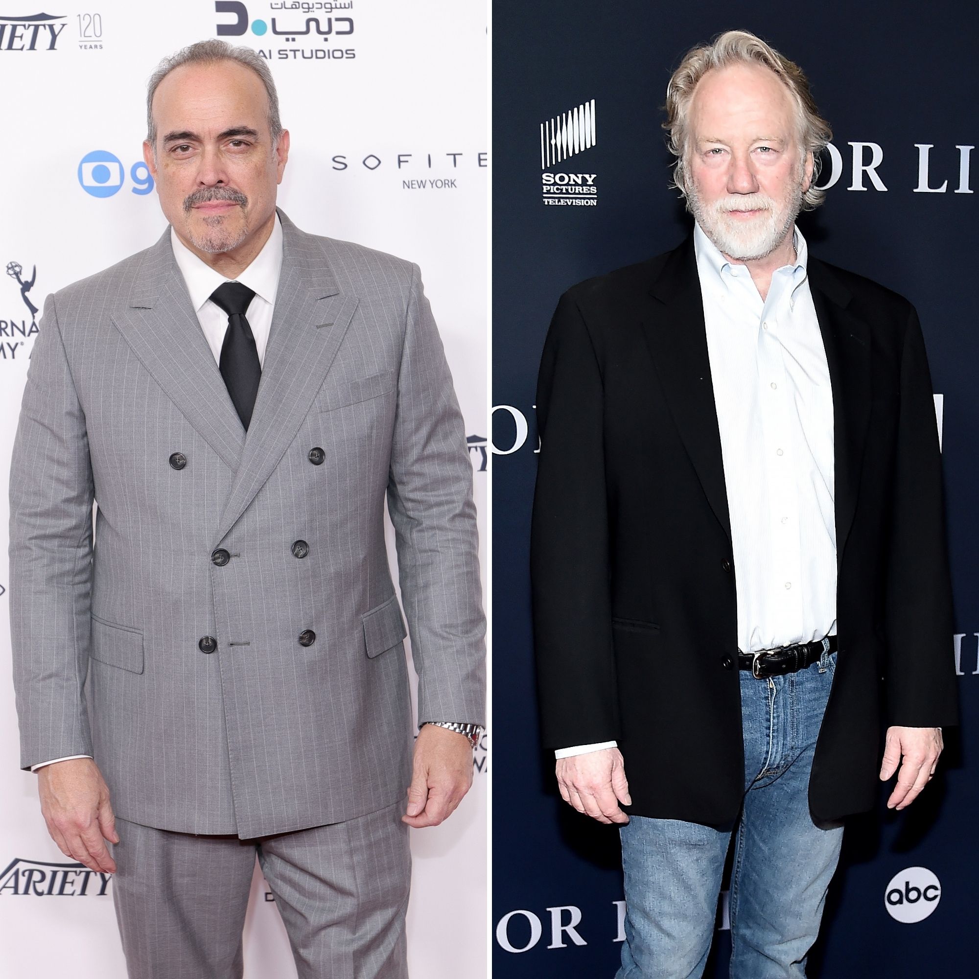 Who Is David Zayas Actor Replacing Timothy Busfield SVU GettyImages-2248281083 GettyImages-1204318979