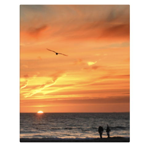 Full Photo Canvas Print