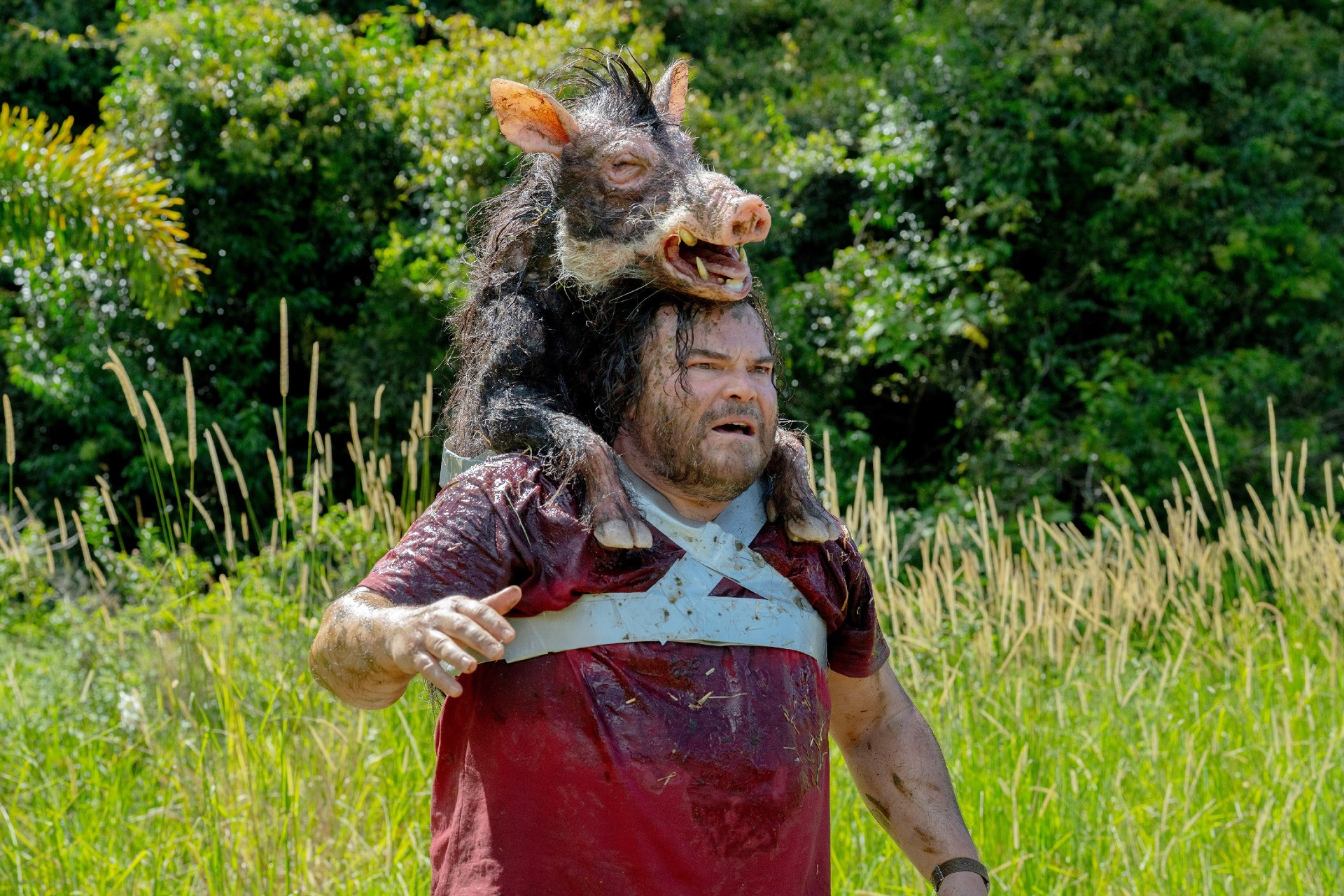 Jack Black in Anaconda