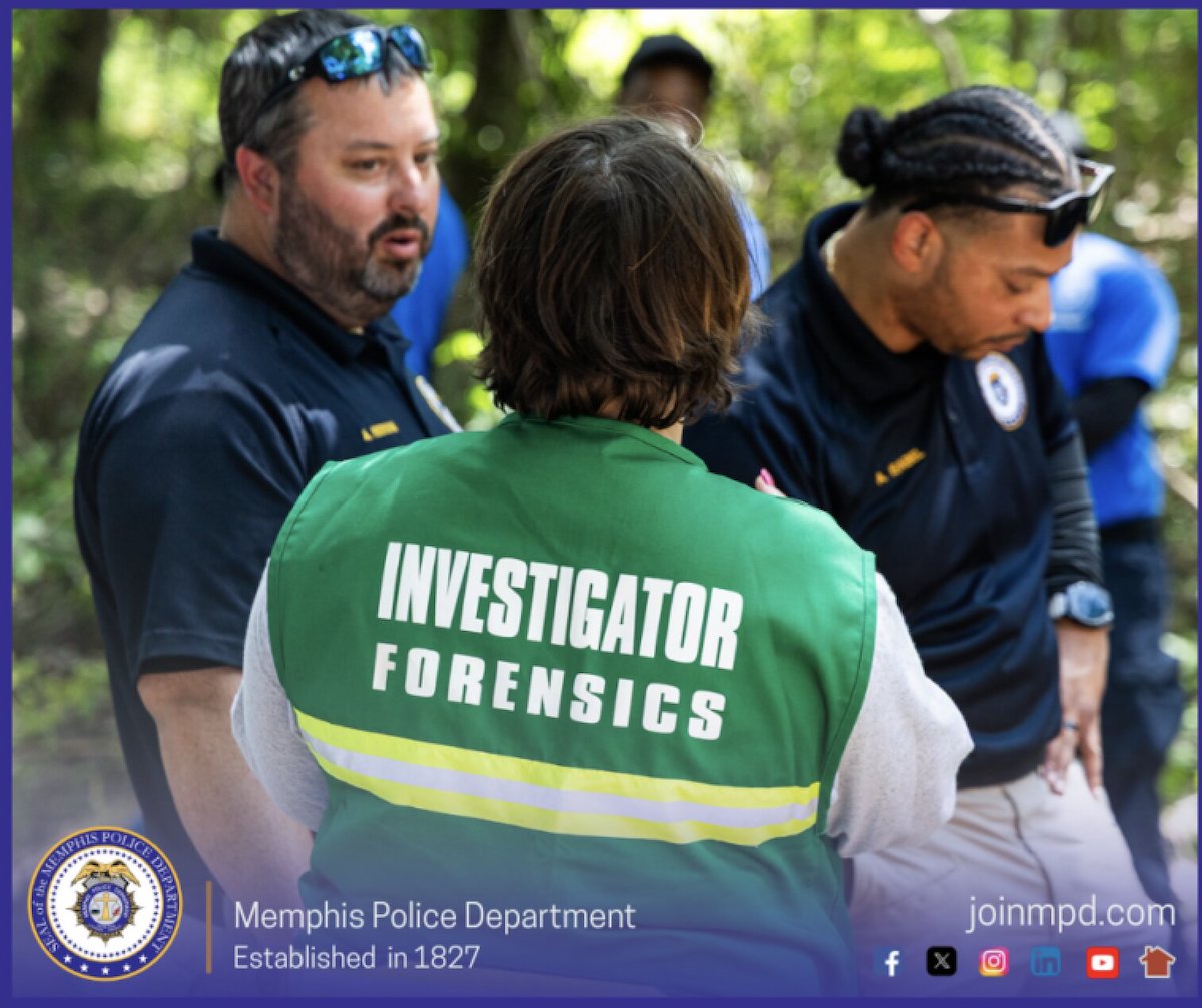 Remains of 3 Young Children Found in Wooded Area in Memphis, Police Launch Investigation