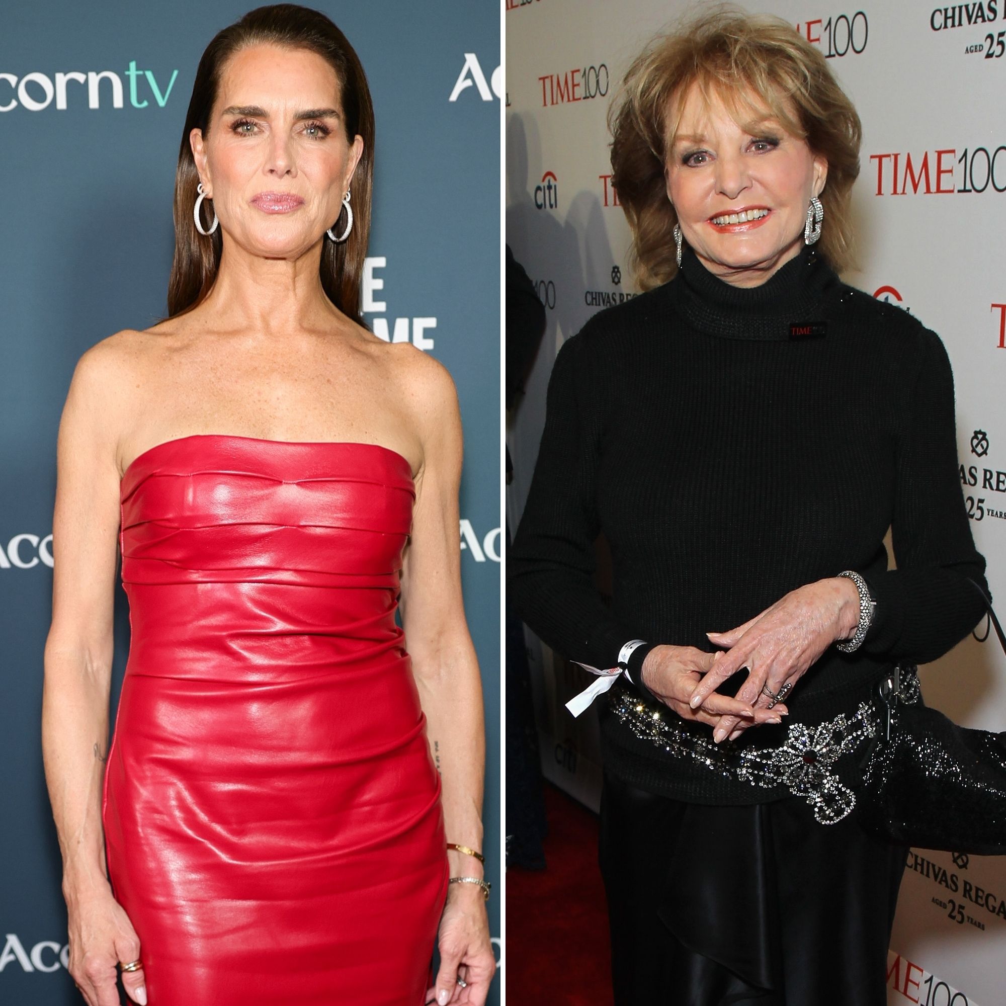 brooke-shields-barbara-waters