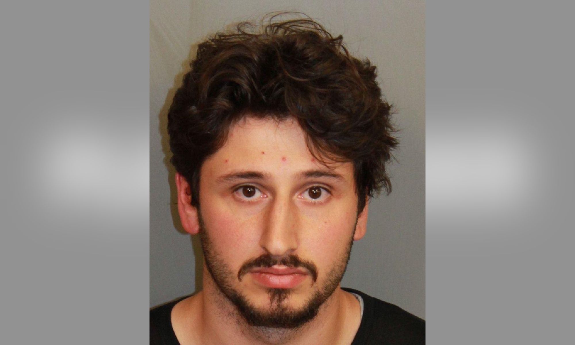 Alabama Man, 21, Arrested After He Allegedly Threw 5 Kittens Out of His Moving Car on Busy Highway