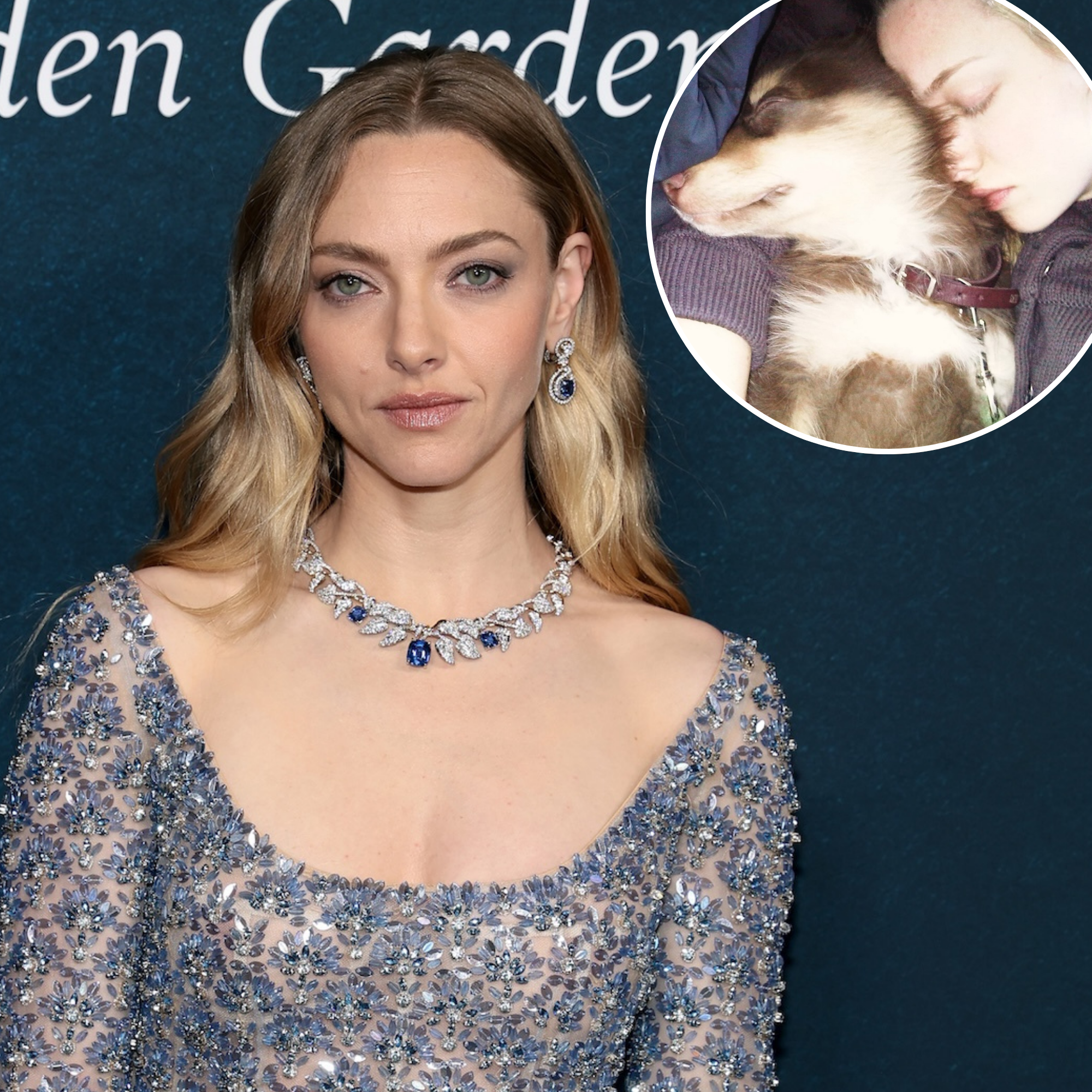 Amanda Seyfried Shares Touching Tribute to Beloved Dog Finn After Death at 16: 'Forever and Ever'