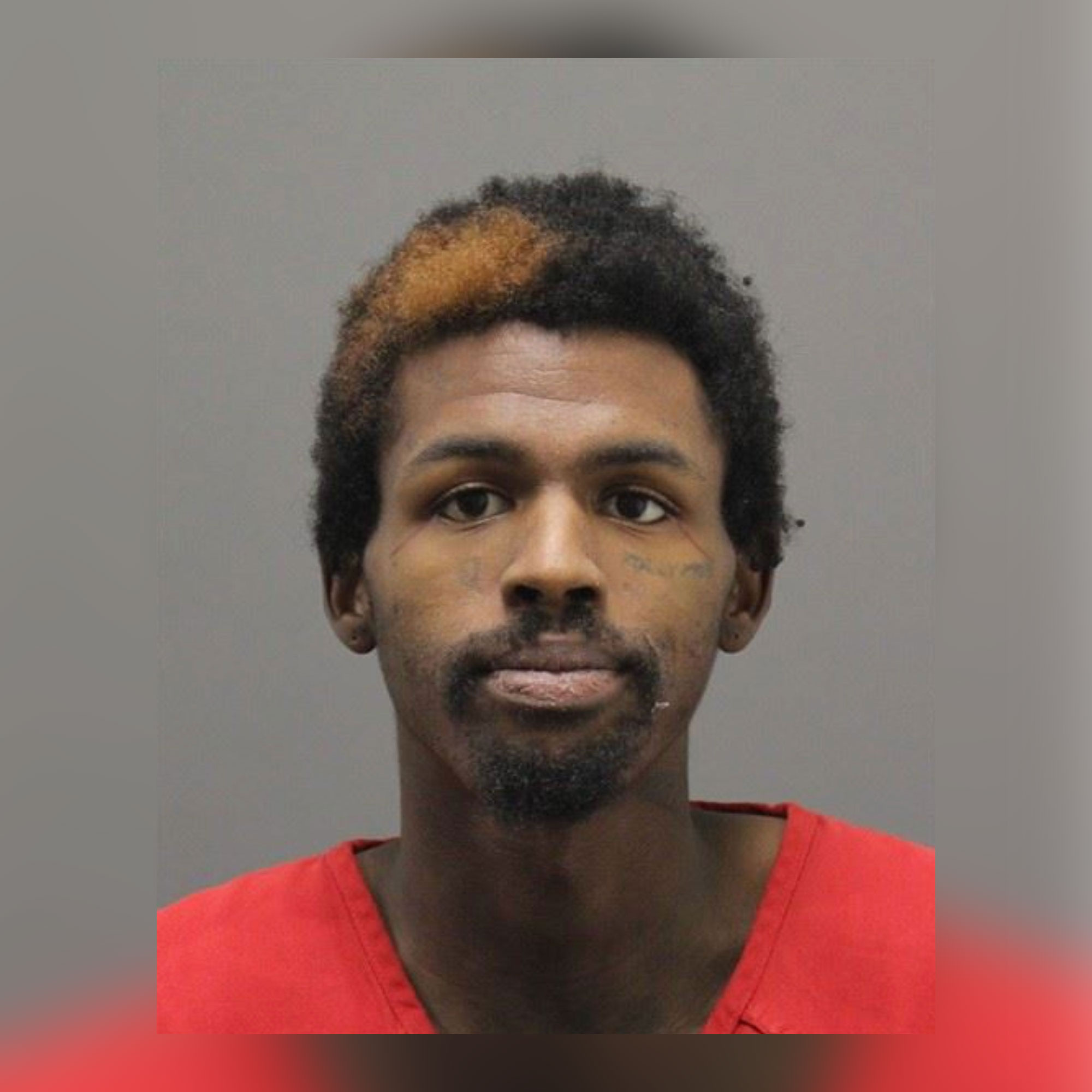Elijah Zion Bieniemy Mugshot