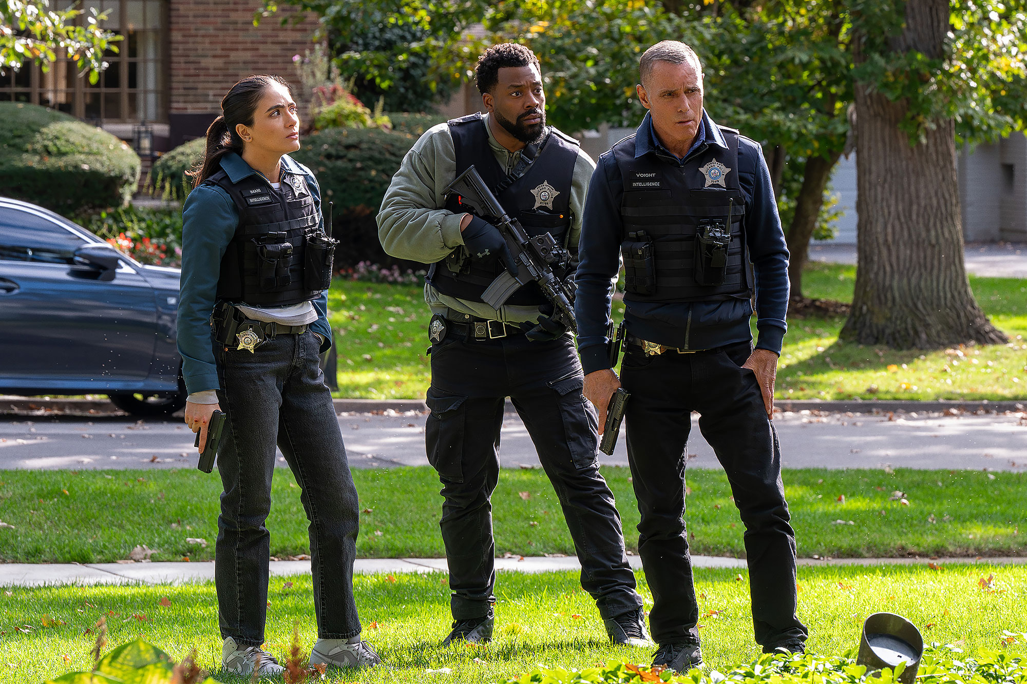 Feature Arienne Mandi LaRoyce Hawkins Jason Beghe Chicago PD