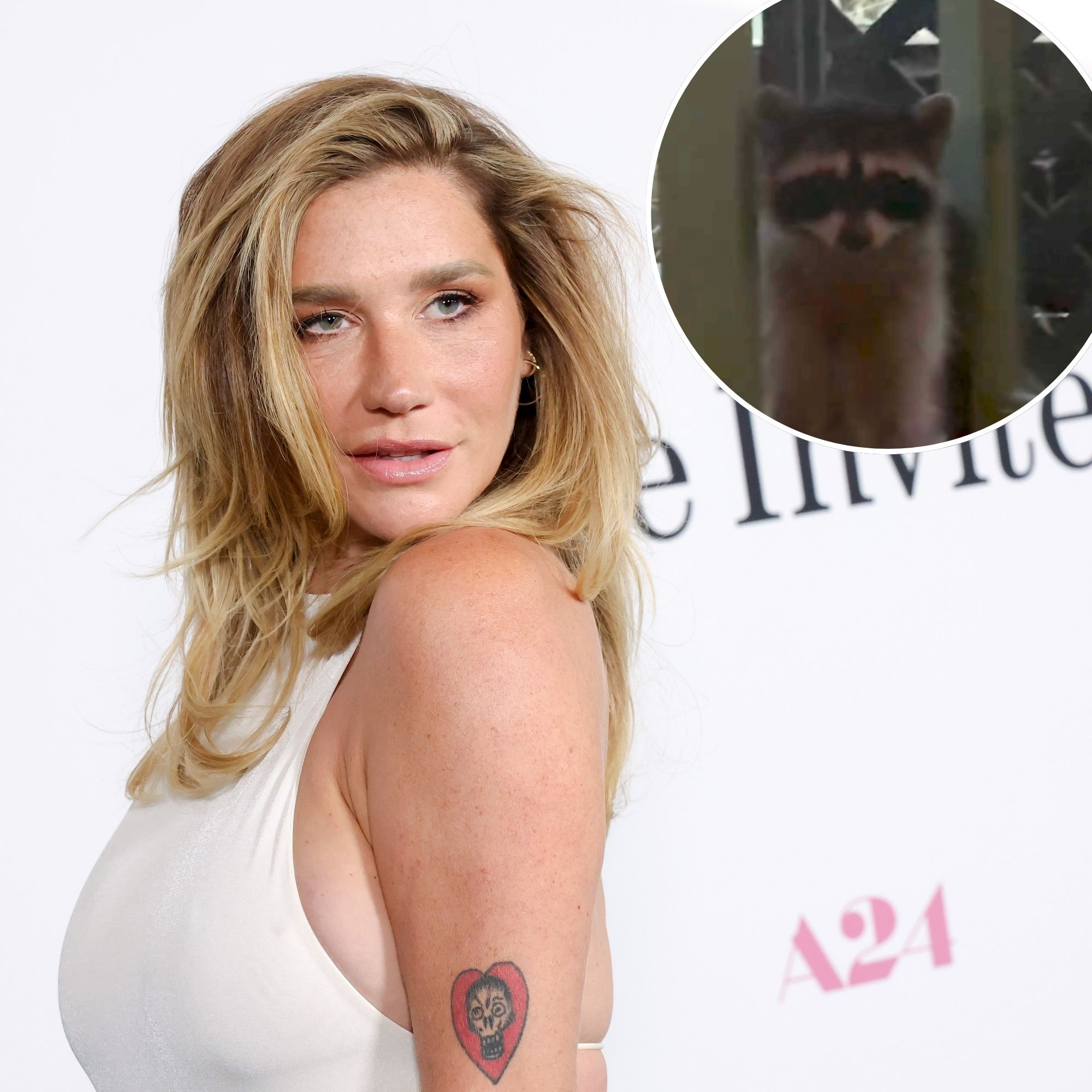 Kesha Loses Fight to Big Feral Raccoon Intruder Refusing to Leave Her Home: ‘Move In’
