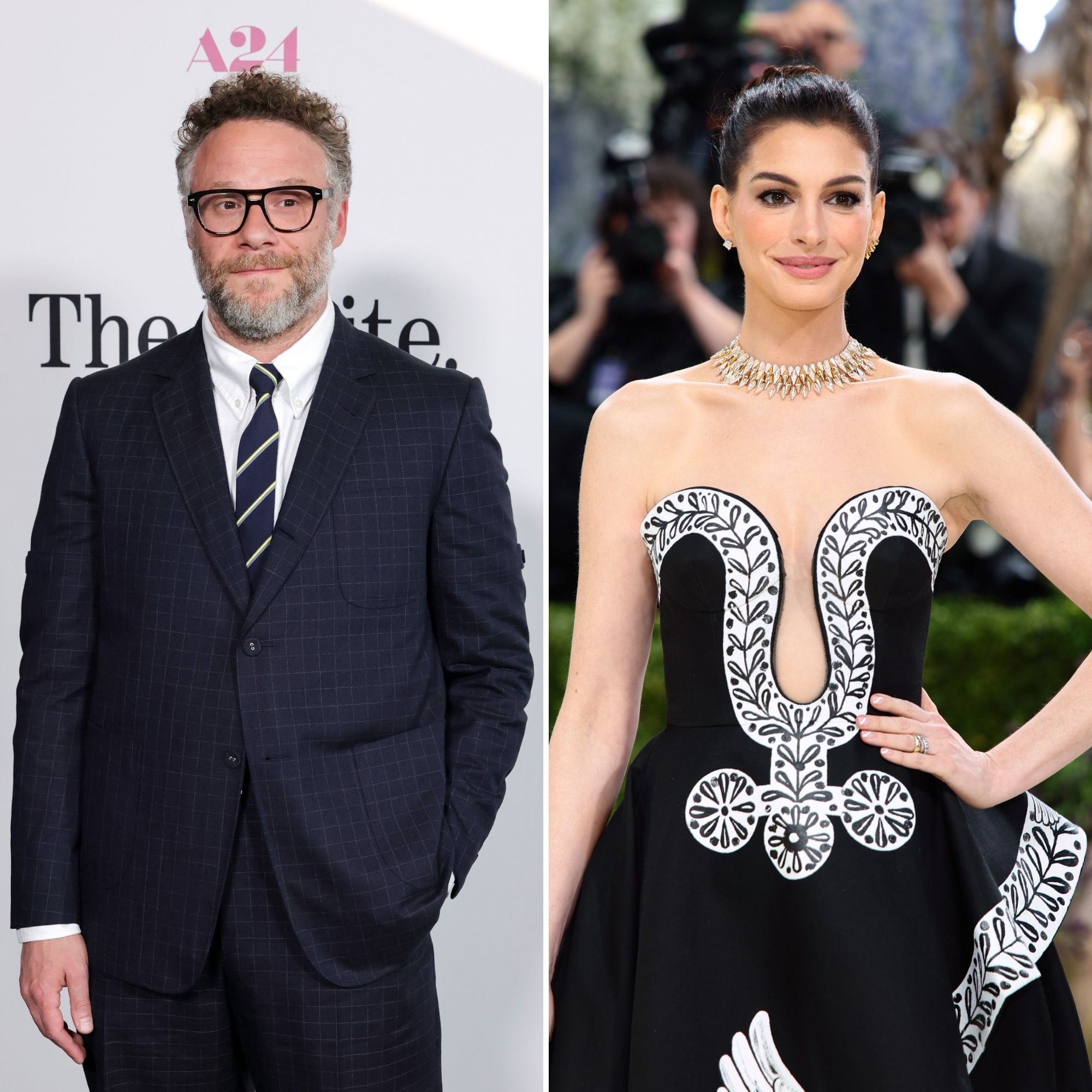 Seth Rogen Says Anne Hathaway Quit 'Knocked Up' Over Graphic Birthing Scene