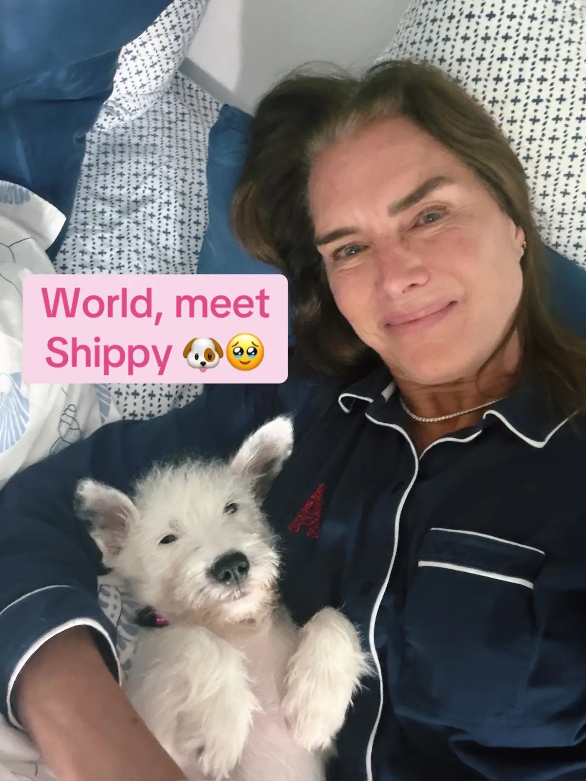 Brooke Shields Shows Gray Roots After Daughter Teased Her