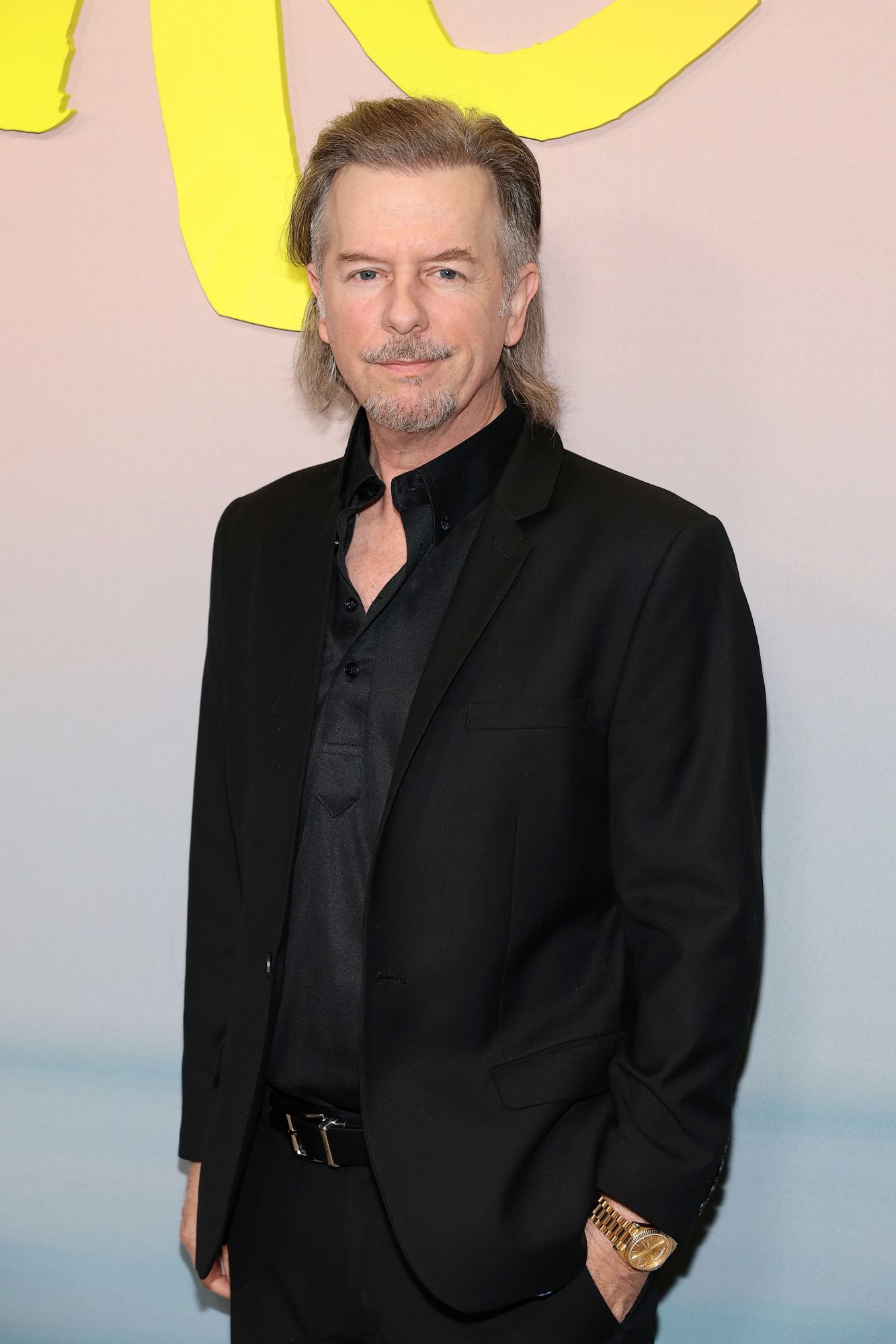David Spade Bio Pic