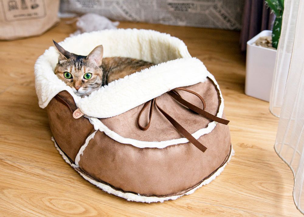 designer cat bed