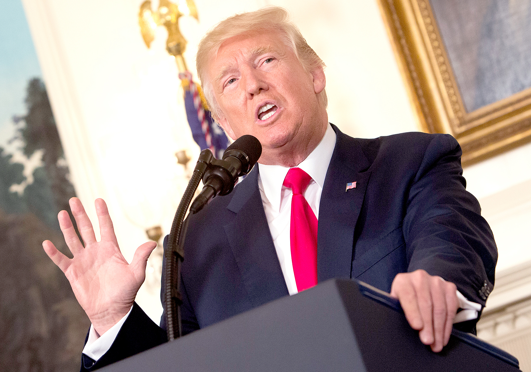 Donald Trump makes a statement on the violence this past weekend in Charlottesville, Virginia at the White House on August 14, 2017 in Washington, DC.