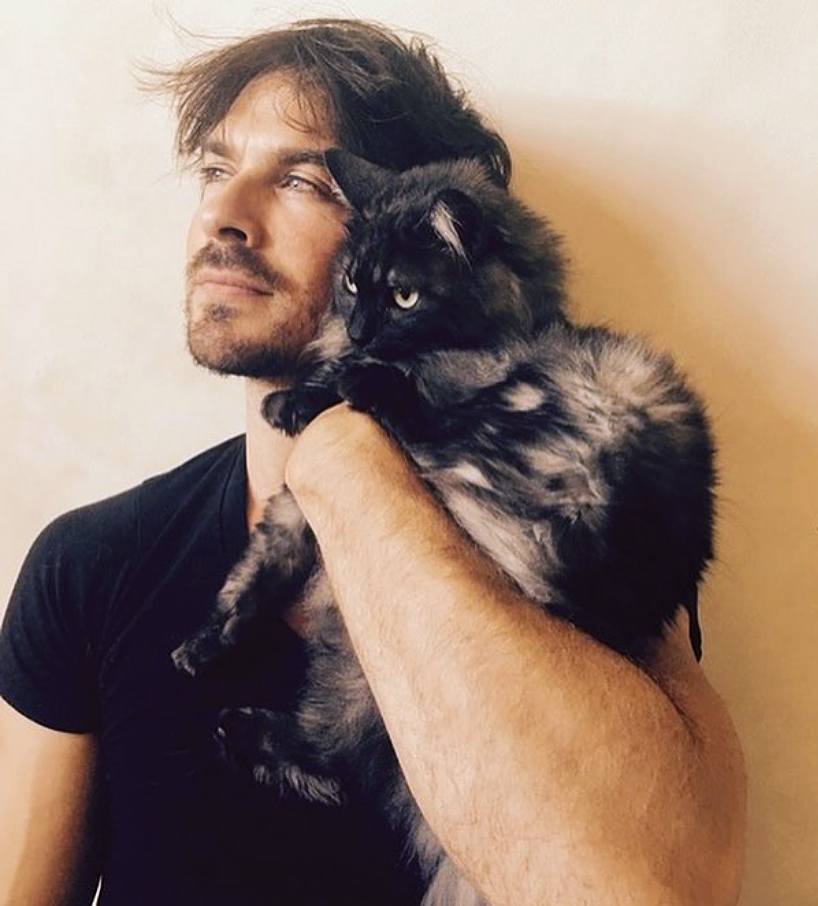 Ian somerhalder cat dd090d3d c2d6 491a b4e9 601d4b94c137