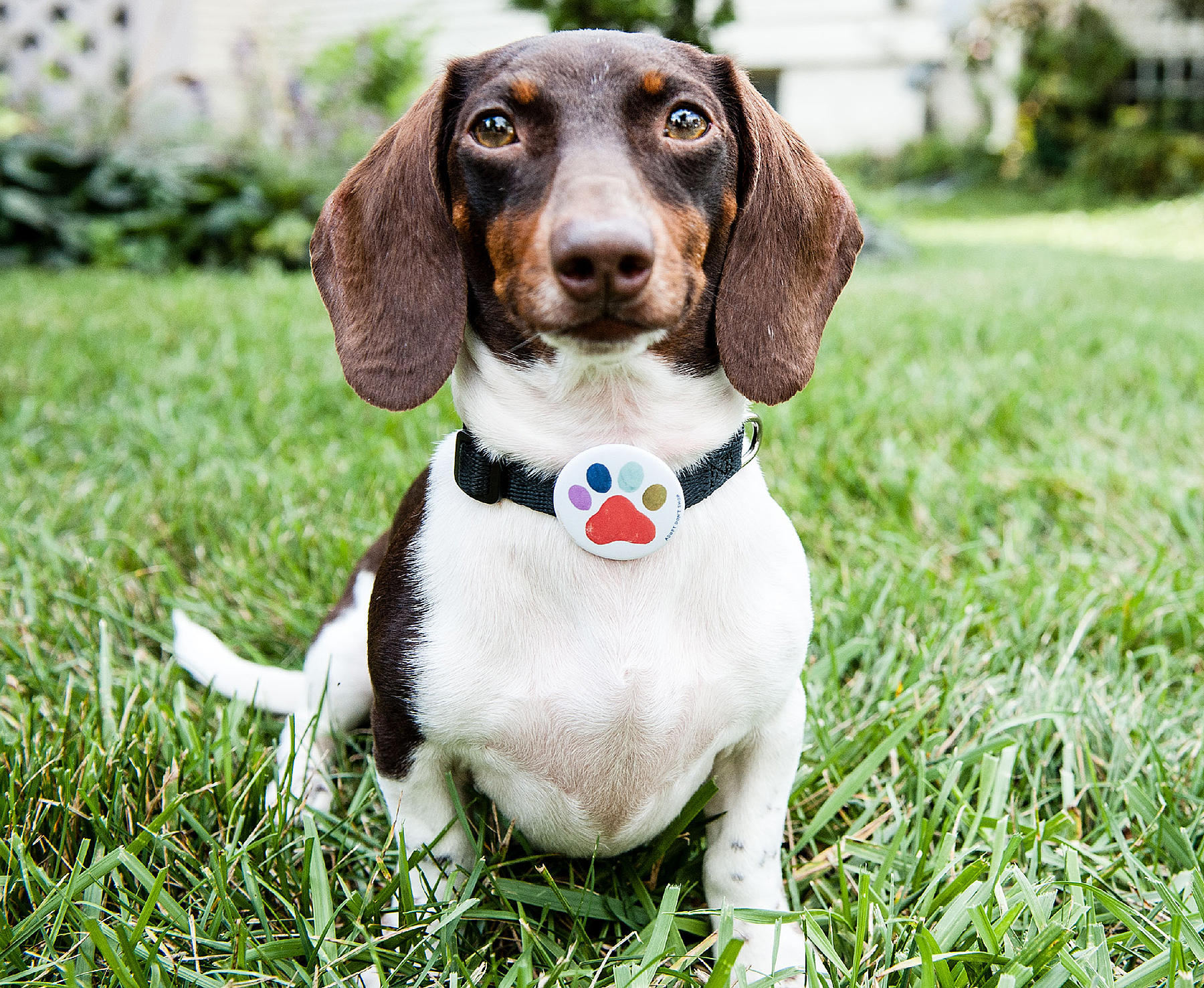 Pip