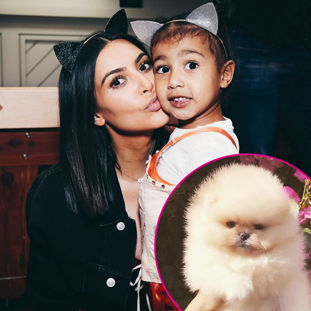 Kim Kardashian and North West