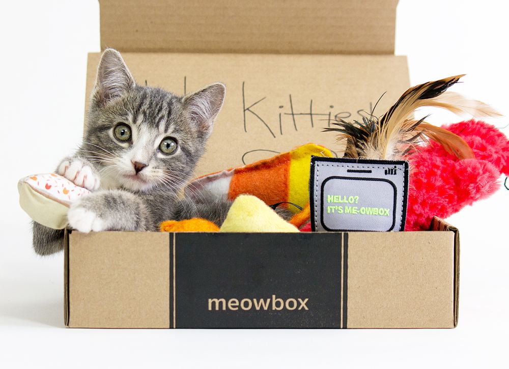 meowbox