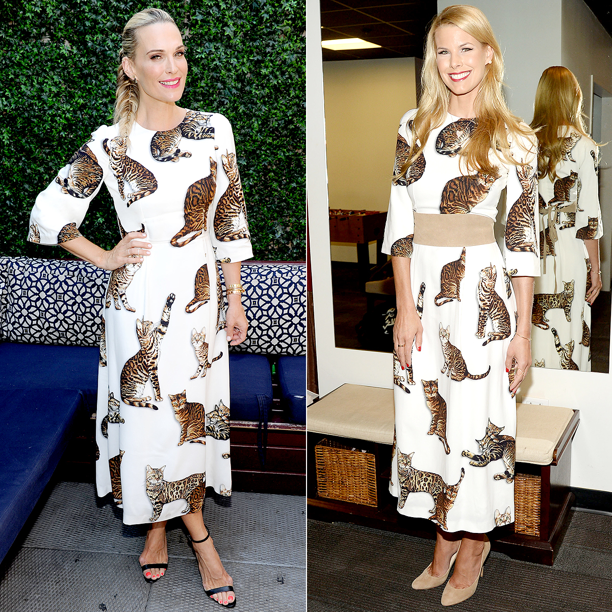 Molly sims or beth stern ff658a4e f3e7 496c ab2e 5d05f99e2bb6