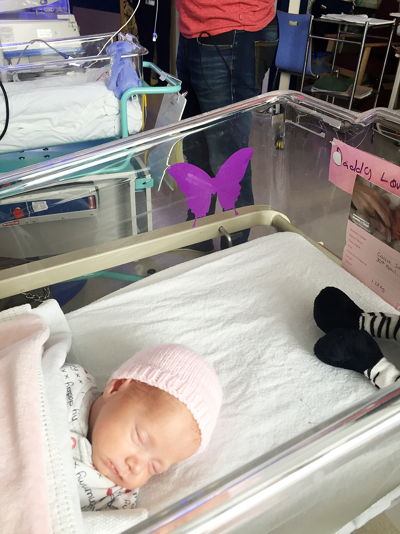 purple butterfly stickers hospital