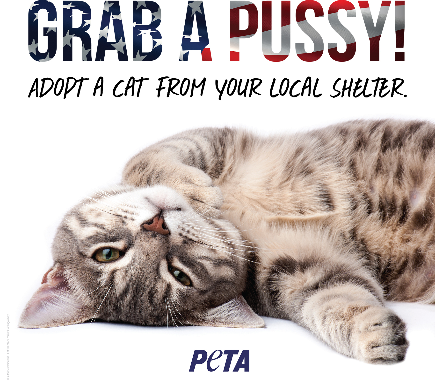 Peta zoom 1dc878b4 24cd 491f 88e5 8dd8e1ac14cd