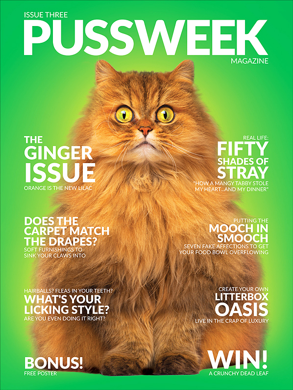 Pussweek Magazine