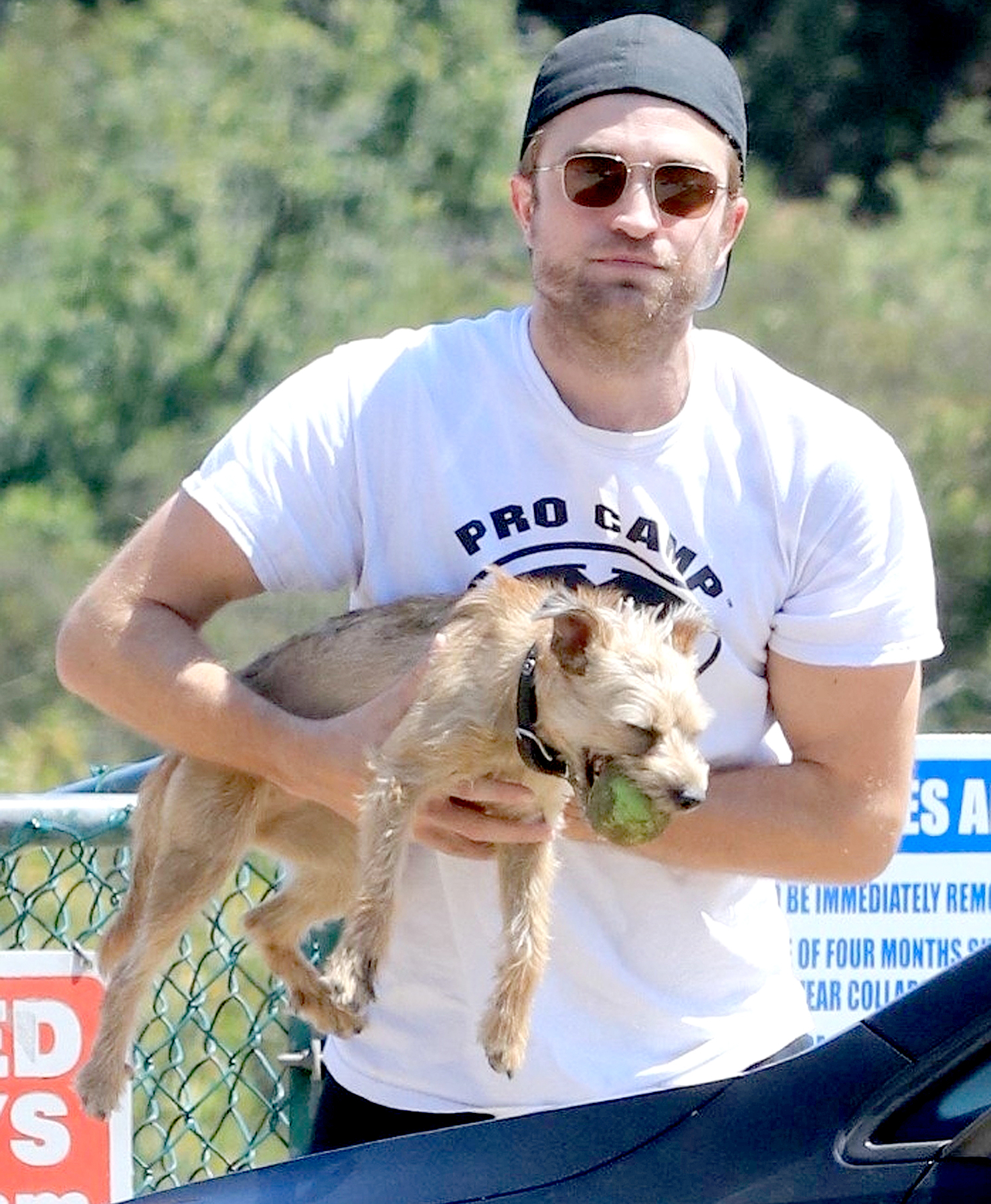 Rob pattinson dog adcbd6b6 71d3 46bd be22 6950286dedf3
