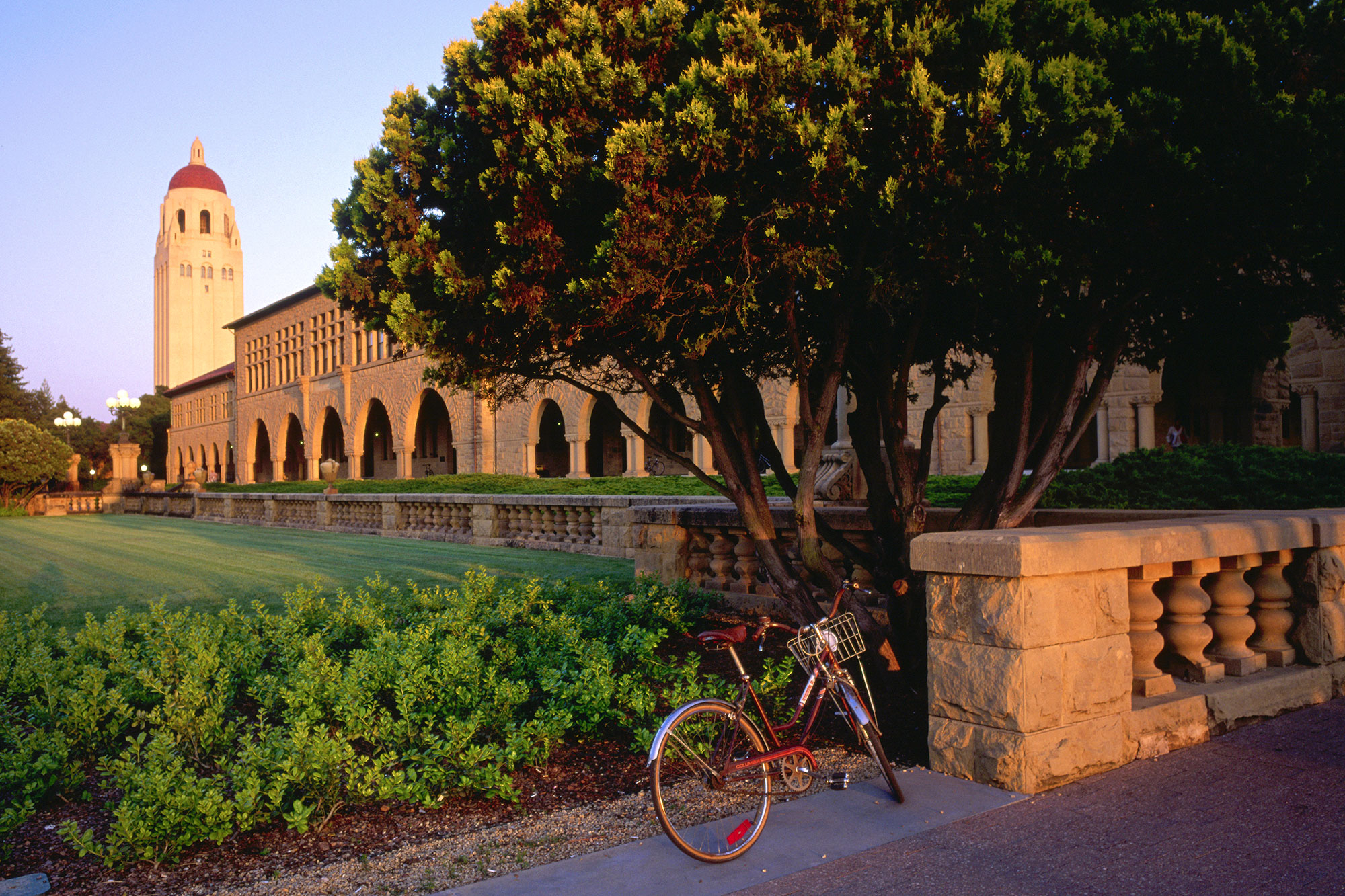 Stanford University
