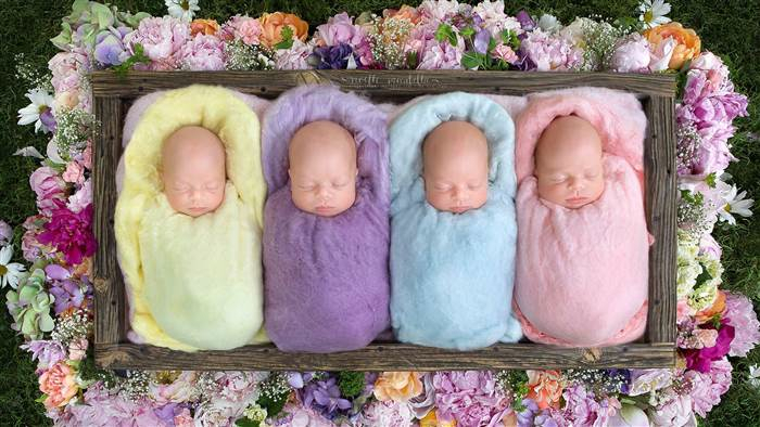Webb Quadruplet Baby Girls